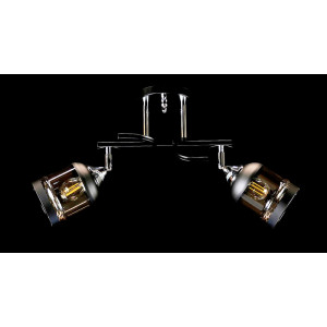 Люстра с плафонами  L2371B/2 (BLK+CR) Splendid-Ray
260781