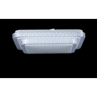 Светодиодная люстра Splendid-Ray1999521/36W*2 LED (WT)