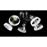 Люстра с плафонами  L8332/5B (BK+CR) Splendid-Ray
234479