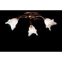 Люстры потолочные с пафоном Splendid-Ray 192364 Люстры потолочные с пафоном Splendid-Ray 192364