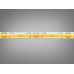 COB LED стрічка 12В, 320 діодів на метр, 5мм, холодний Diasha P12-COB-320-CW-20-5
