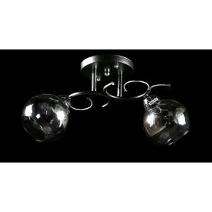 Люстра с плафонами  L8408/2 (BK+CR) Splendid-Ray
234467