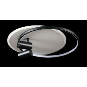 Светодиодная люстра L2451/480/2+2 LED (WHITE+BLACK) Splendid-Ray
2624