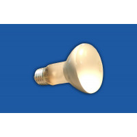 Лампа накаливания R63 60W  E27 Splendid-Ray
33004