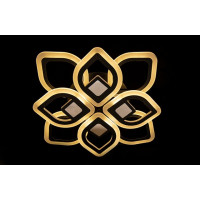 Люстра потолочная светодиодная с пультом Linisoln 2721-4+4S WH, BK