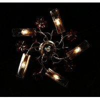 Люстра с плафонами Splendid-Ray 2635 (FGD)