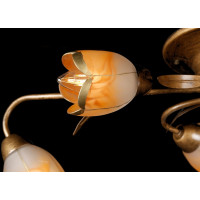 Люстра с плафонами  L90229/6 Splendid-Ray
881664