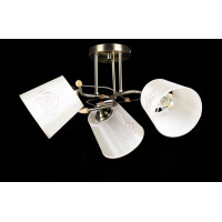 Люстры потолочные с пафоном Splendid-Ray 256443 AB