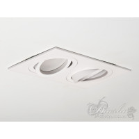 Здвоєний точковий поворотний світильник під гіпсокартонну стелю Diasha QXL-160B-10-2-WH