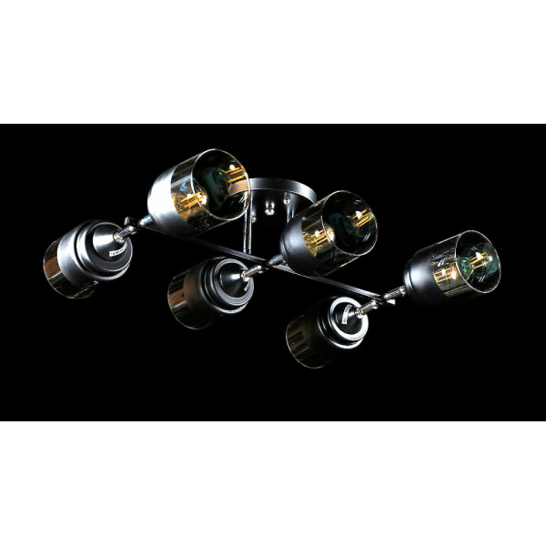 Люстра с плафонами  L91134/6 (BLK+CR) Splendid-Ray
260849