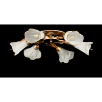 Люстры потолочные с пафоном Splendid-Ray 192298