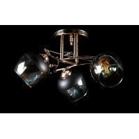 Люстра с плафонами  L91187/3 (FGD) Splendid-Ray
0260798