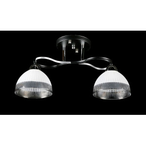 Люстра с плафонами  L8258/2 (BK+CR) Splendid-Ray
234492