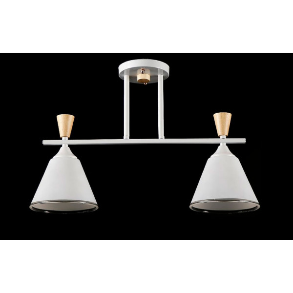Люстра с плафонами  L6019/2 (WHI) Splendid-Ray
260745