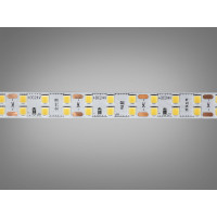LED стрічка 24в, 240 діодів на метр, 10мм, холодний Diasha P24-2835-240-CW-20-10-2D