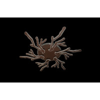 Люстра светодиодная Linisoln 1837/6 CF LED