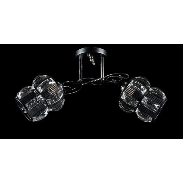 Люстра с плафонами  L9884D/2 (BLK+CR) Splendid-Ray
0260854