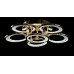 Светодиодная люстра LT98120/5+1 LED (GD) Splendid-Ray
302084