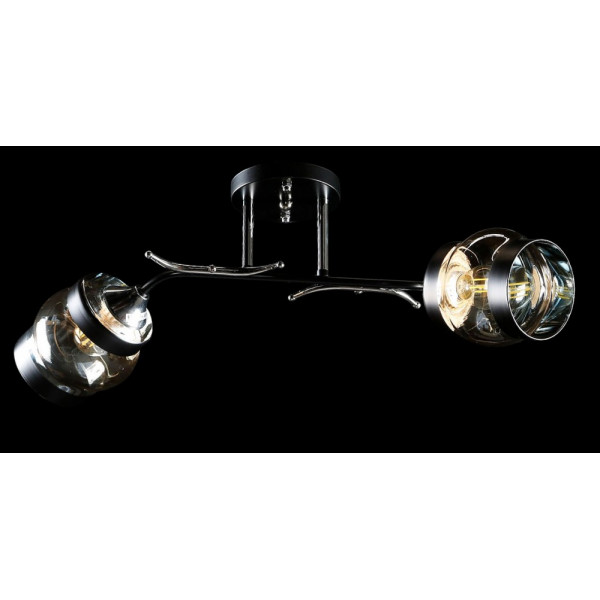 Люстра с плафонами L91148/2 (BLK+CR) Splendid-Ray
260852 Люстра с плафонами L91148/2 (BLK+CR) Splendid-Ray
260852