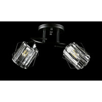 Люстра с плафонами  L8437/2 (BK) Splendid-Ray
234459