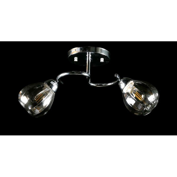 Люстра с плафонами  L8460/2 (CR) Splendid-Ray
234453