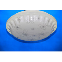 Люстра плафон под потолок Splendid-Ray LB 221122
