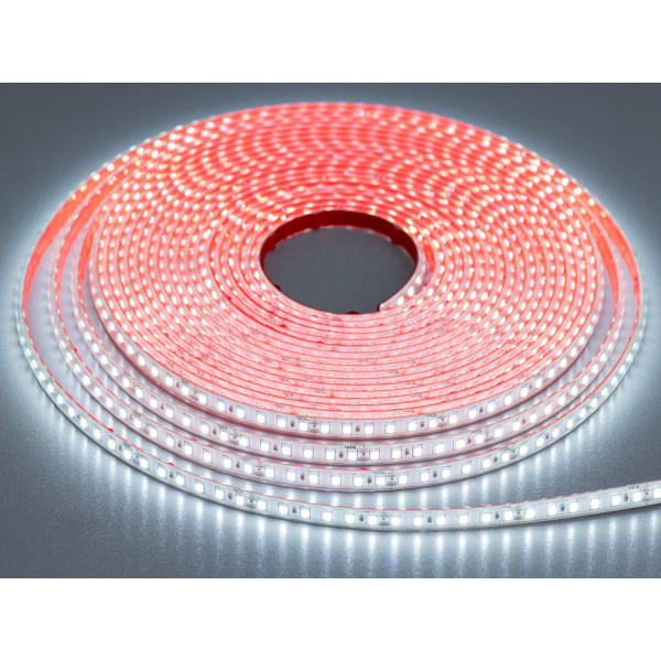 LED стрічка 24в, 120 шт/м, герметична, 8мм, холодний Diasha N24-2835-120-CW-65-8