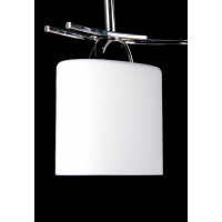 Люстра с плафонами  L28004/2  (CR+WENGE) Splendid-Ray
210899