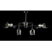 Люстра с плафонами  L91095/12 (BLK) Splendid-Ray
260835