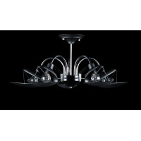 Люстра с плафонами Splendid-Ray 286115(BK+CR)