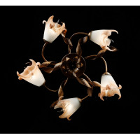 Люстра с плафонами Splendid-Ray L192404