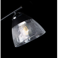 Люстра с плафонами Splendid-Ray 286127(BK+SR)