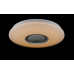 Светодиодная люстра LY8338/24W*2 LED+BLUETOOTH (WT) Splendid-Ray
1999540