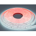 LED стрічка 220в, 120 шт/м, герметична, 8мм, холодний Diasha N220-2835-120-CW-65-8