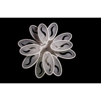 LED люстра Linisoln 8886/8+4  диммер