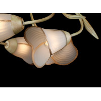 Люстра с плафонами  L10106/5C Splendid-Ray
128216