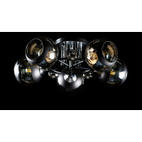 Люстра с плафонами  L91157/5 (BLK+CR) Splendid-Ray
260856