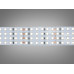 LED стрічка 24в, 480 діодів на метр, 30мм, нейтральний Diasha N24-2835-480-NW-20-30