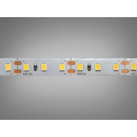 LED стрічка 12В, 120 діодів на метр, 8мм, холодний Diasha P12B-2835-120-CW-20-8