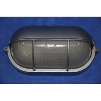 Фасадный светильник Splendid-Ray100826 [GE] 