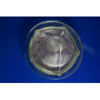 Точечный светильник OSD305 [FL] Splendid-Ray
999924