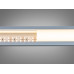 LED стрічка 24в, 240 діодів на метр, 15мм, теплий Diasha N24-2835-240-WW-20-15