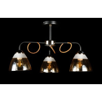 Люстра с плафонами Splendid-Ray 286124(BK+FG)