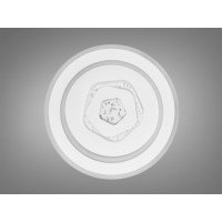Люстра лед потолочная 45W Diasha A020/300