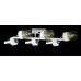 Люстра с плафонами  LGH10312/6 (WH+CR) Splendid-Ray
286346