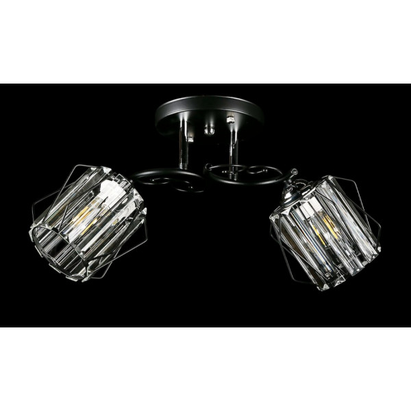 Люстра с плафонами  L4630/2 (BK) Splendid-Ray
234485