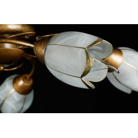 Люстра с плафонами Splendid-Ray 882235