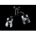 Люстра с плафонами  L2370B/2 (BLK+CR) Splendid-Ray
260779