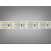 LED стрічка 24в, 240 діодів на метр, 15мм, теплий Diasha N24-2835-240-WW-20-15
