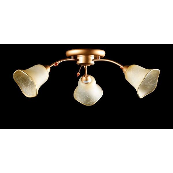 Люстра с плафонами  L90598/3 Splendid-Ray
192003